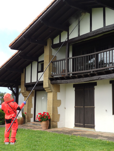 intervention sur un nid de frelons sur Saint Jean de Luz